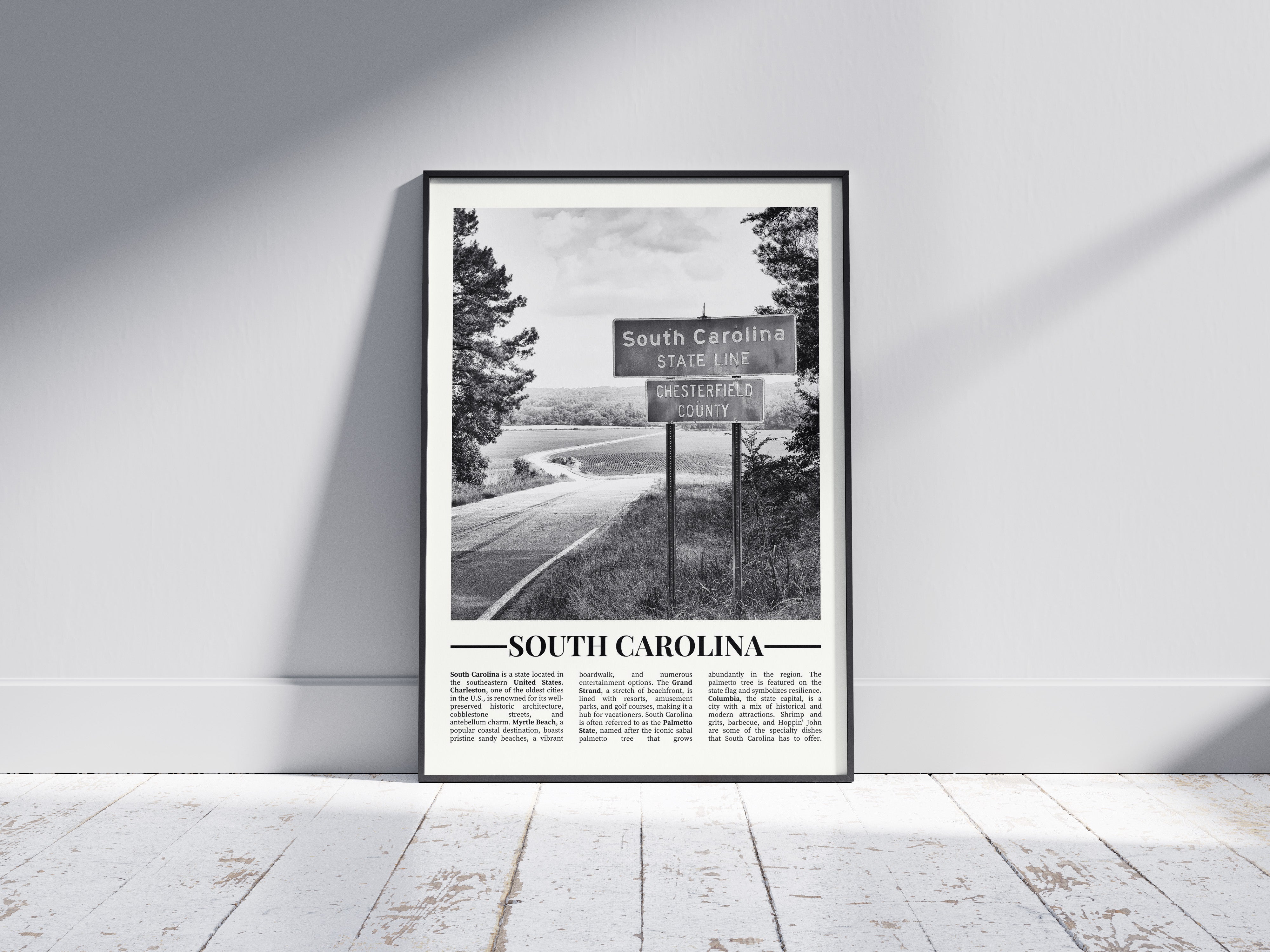 Black & White: South Carolina 2.0