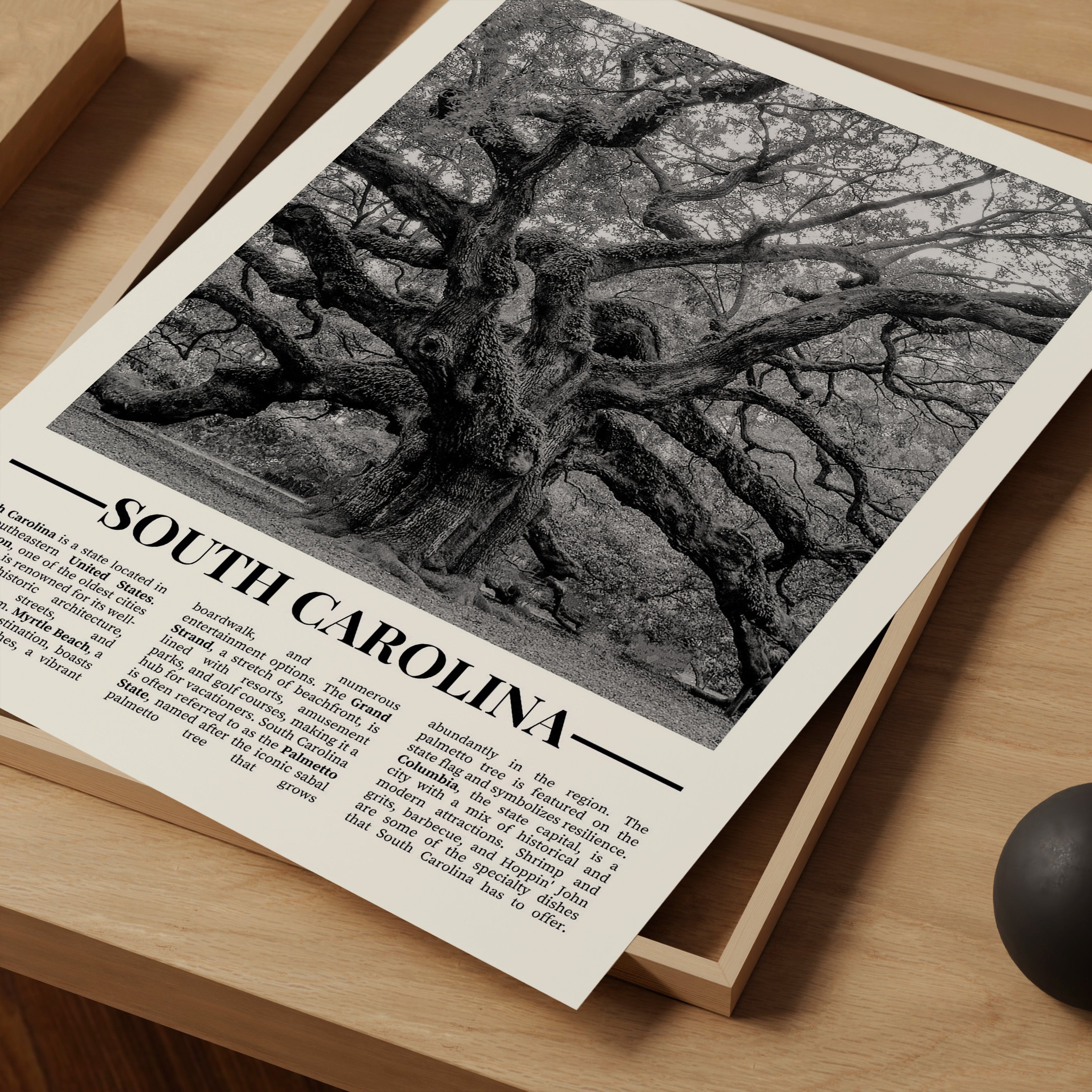 Black & White: South Carolina