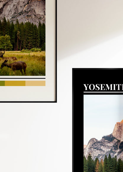 Project No.1: Yosemite