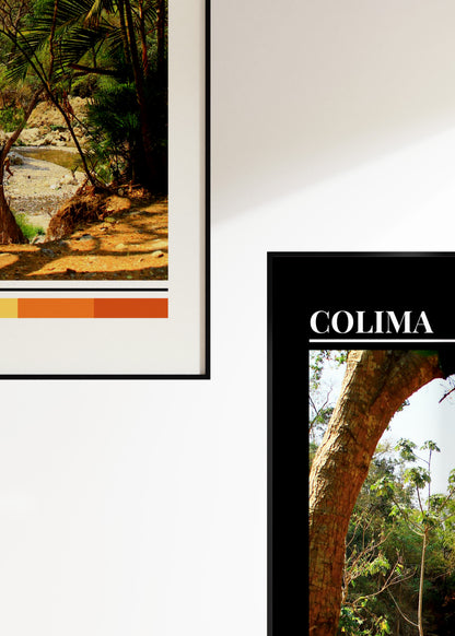 Project No.1: Colima