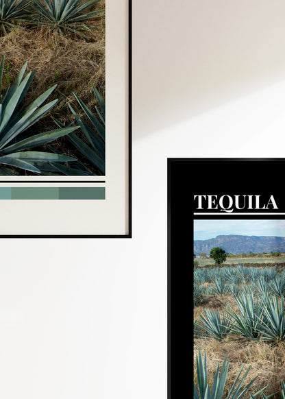 Project No.1: Tequila