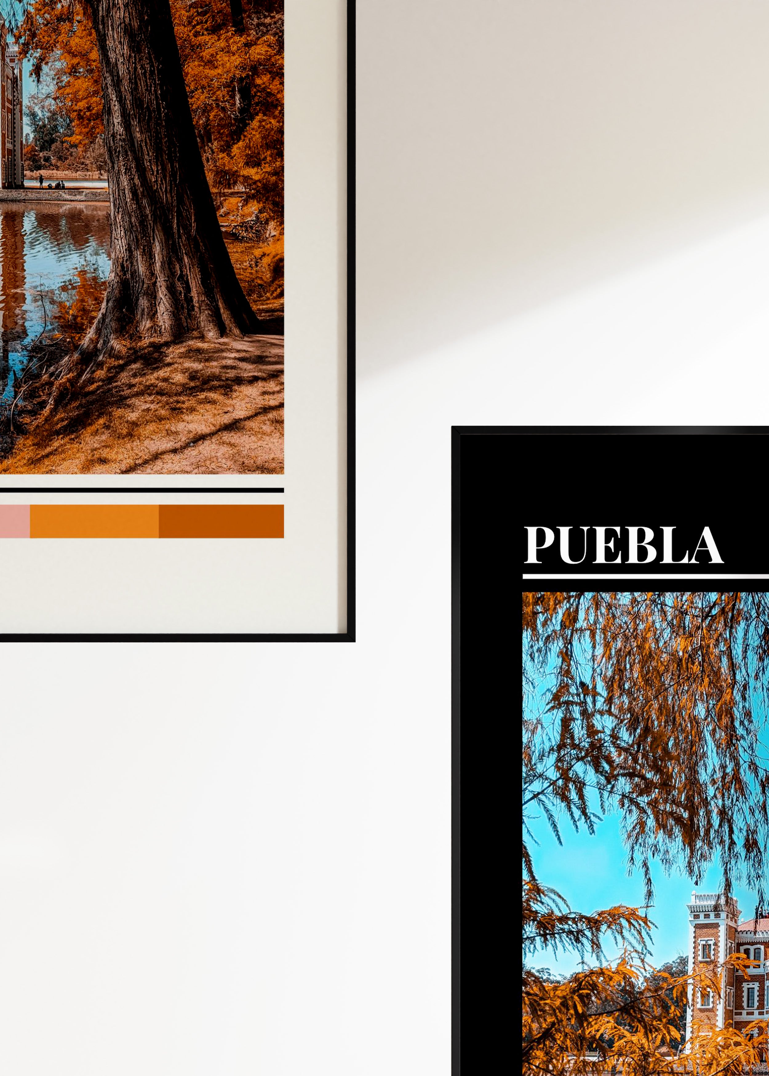 Project No.1: Puebla